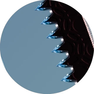 Close-up of the triangular teeth