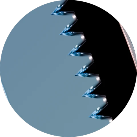 Close-up of the triangular teeth